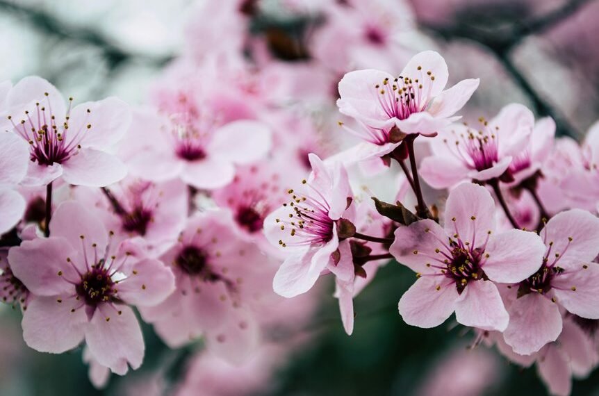 digital seo for growth